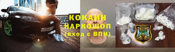 шишки Ростов